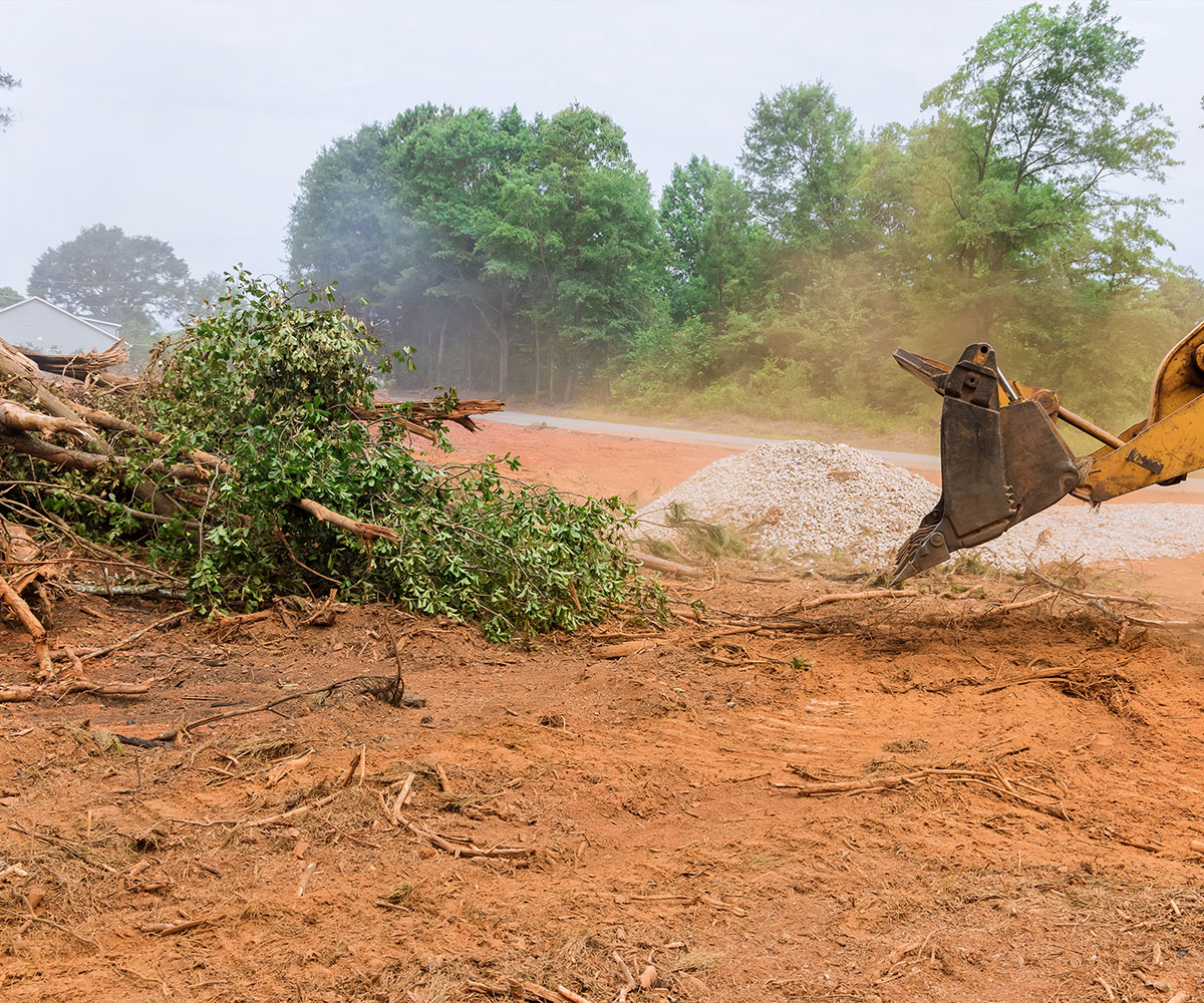 Expert Tree and Land Clearing Services