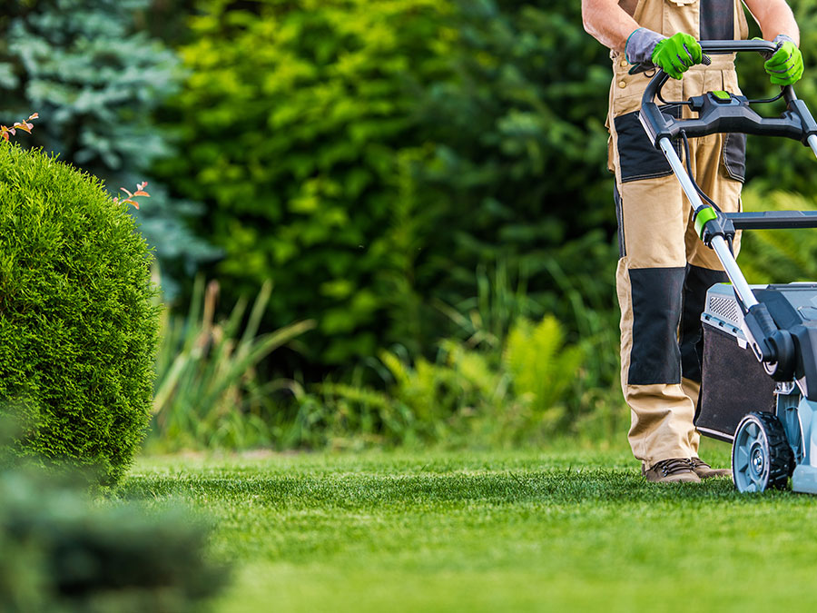 Lawn Maintenance