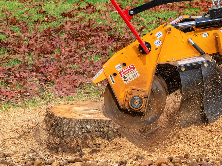 Stump Removals