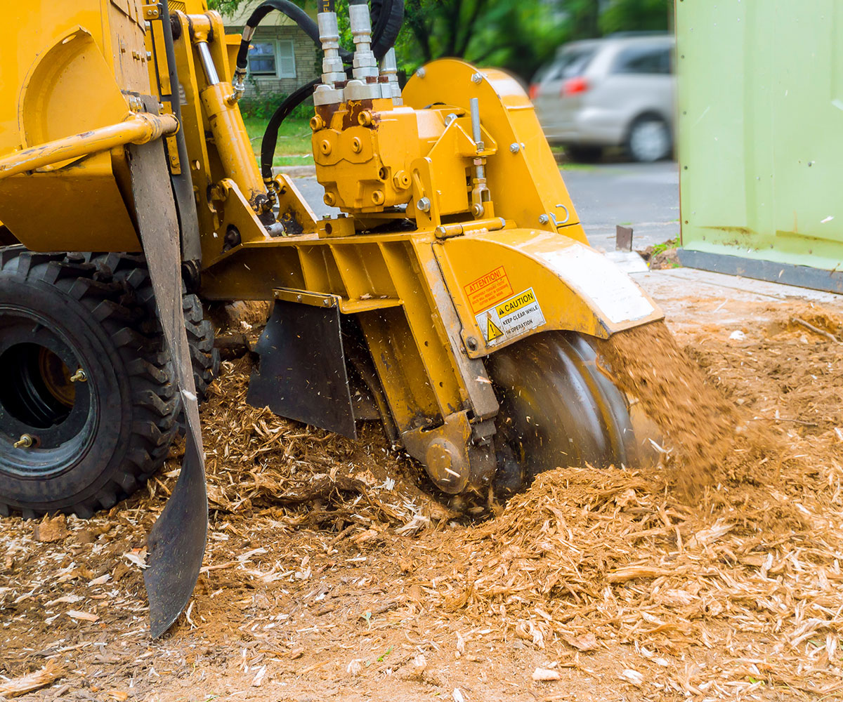 Customised Solutions for Stubborn Stumps